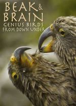 Watch Beak & Brain - Genius Birds from Down Under 5movies