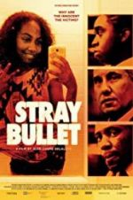 Watch Stray Bullet 5movies