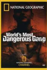 Watch National Geographic World's Most Dangerous Gang 5movies