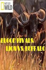 Watch National Geographic - Blood Rivals: Lion vs. Buffalo 5movies
