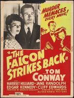 Watch The Falcon Strikes Back 5movies