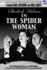 Watch The Spider Woman 5movies