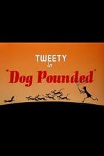 Watch Dog Pounded (Short 1954) 5movies