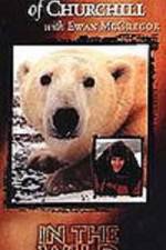 Watch The Polar Bears of Churchill with Ewan McGregor 5movies