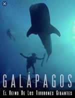Watch Galapagos: Realm of Giant Sharks 5movies