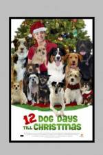 Watch 12 Dog Days of Christmas 5movies