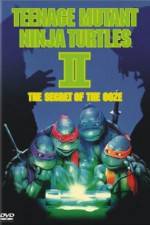 Watch Teenage Mutant Ninja Turtles II: The Secret of the Ooze 5movies