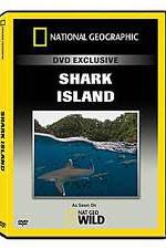Watch National Geographic: Shark Island 5movies