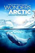 Watch Wonders of the Arctic 3D 5movies