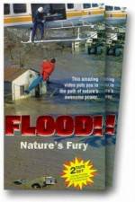 Watch Flood 5movies