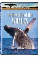 Watch Fellowship Of The Whales 5movies