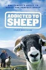 Watch Addicted to Sheep 5movies