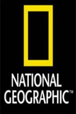 Watch National Geographic Wild Night Of The Lion 5movies