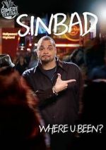 Watch Sinbad: Where U Been? 5movies