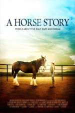 Watch A Horse Story 5movies