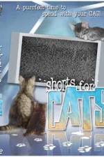 Watch Shorts for Cats 5movies