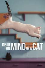 Watch Inside the Mind of a Cat 5movies