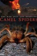 Watch Camel Spiders 5movies
