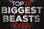 Watch Top 10 Biggest Beasts Ever 5movies