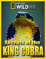 Watch Secrets of the King Cobra 5movies