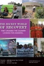 Watch The Secret World of Recovery 5movies