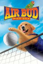 Watch Air Bud: Spikes Back 5movies