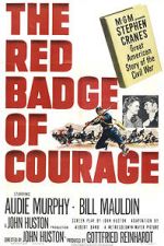 Watch The Red Badge of Courage 5movies