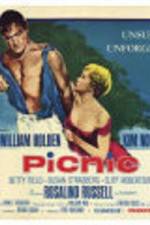 Watch Picnic 5movies