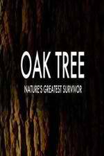 Watch Oak Tree Natures Greatest Survivor 5movies