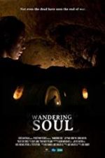 Watch Wandering Soul 5movies