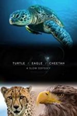 Watch Turtle, Eagle, Cheetah: A Slow Odyssey 5movies