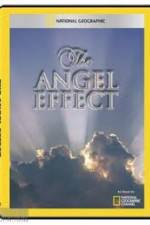 Watch National Geographic Explorer - The Angel Effect 5movies