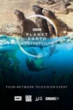 Watch Planet Earth: A Celebration 5movies