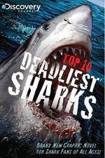 Watch National Geographic Worlds Deadliest Sharks 5movies