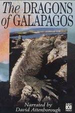 Watch The Dragons of Galapagos 5movies