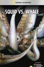 Watch National Geographic Wild - Squid Vs Whale 5movies