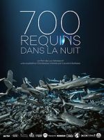 Watch 700 requins dans la nuit 5movies