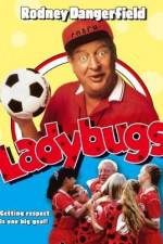 Watch Ladybugs 5movies