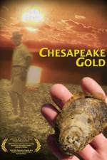 Watch Chesapeake Gold 5movies