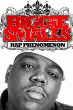 Watch Biggie Smalls Rap Phenomenon 5movies