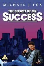 Watch The Secret of My Succe$s 5movies