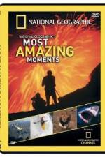 Watch National Geographic's Most Amazing Moments 5movies