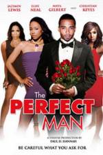 Watch The Perfect Man 5movies