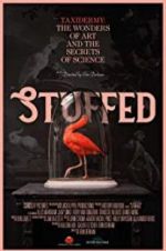 Watch Stuffed 5movies
