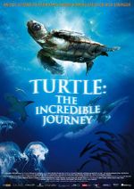 Watch Turtle: The Incredible Journey 5movies