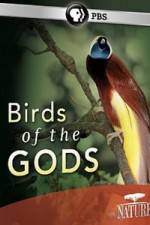 Watch Birds Of The Gods 5movies