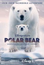 Watch Polar Bear 5movies