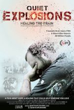 Watch Quiet Explosions: Healing the Brain 5movies