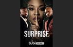 Watch Surprise 5movies