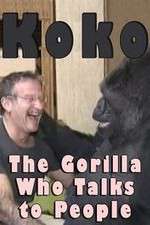 Watch Koko: The Gorilla Who Talks to People 5movies